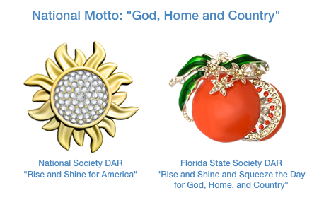 National and State DAR 2019 themes